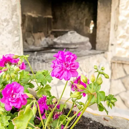 Apartament Ana I Ljubo Sukošan